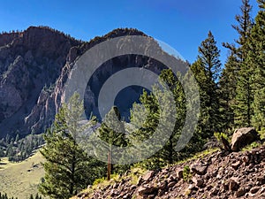 Gorgeous mountains and green trees in Colorado