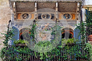 Gorgeous Mural at Piazza delle Erbe