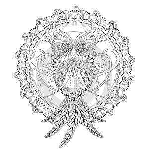 Gorgeous owl coloring page