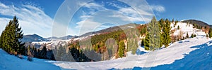 Gorgeous panorama of winter countryside