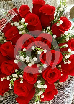 Gorgeous red roses