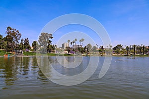 A gorgeous rippling lake with a water fountain surrounded by lush green palm trees and grass with birds