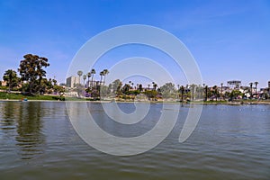 A gorgeous rippling lake with a water fountain surrounded by lush green palm trees and grass with birds
