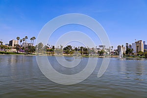 A gorgeous rippling lake with a water fountain surrounded by lush green palm trees and grass with birds