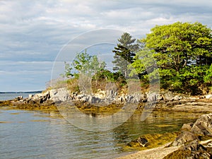 Gorgeous Rocky Coast and Shore on a Maine Island