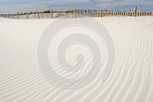 Gorgeous Sand Dune