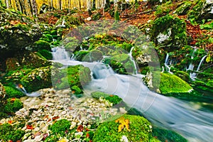 Gorgeous scene of creek in colorful autumnal forest