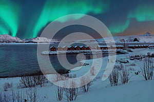 Gorgeous scenery wit traditional red wooden houses on the shore of Offersoystraumen fjord with Northern Lights