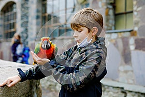 Gorgeous school kid boy feeding parrots in zoological garden. Child with medical mask feed trusting friendly birds in