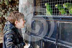 Gorgeous school kid boy feeding parrots in zoological garden. Child playing and feed trusting friendly birds in zoo and