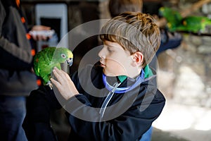 Gorgeous school kid boy feeding parrots in zoological garden. Child playing and feed trusting friendly birds in zoo and