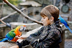 Gorgeous school kid boy feeding parrots in zoological garden. Child playing and feed trusting friendly birds in zoo and