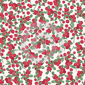 Gorgeous seamless pattern with arctic lingonberry on white background. Backdrop with boreal forest berry. Realistic