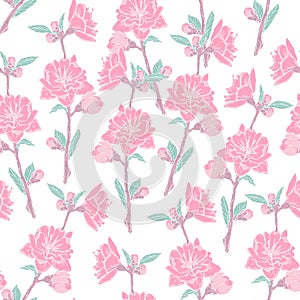Gorgeous seamless pattern with blooming pink rose on white background. Backdrop with beautiful tender flowers. Colored