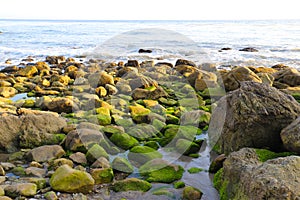 A gorgeous set of rocks at the beach covered in lush green algae with ocean waves rolling in at El Matador beach