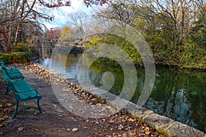 A gorgeous shot of the lake in the park with green park benches surrounded by gorgeous autumn colored trees and plants