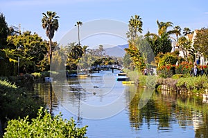 A gorgeous shot of the lush green waters of the canal with colorful boats and lush green trees and plants reflecting off the water