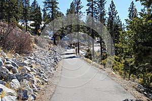 A gorgeous shot of a man walking down a smooth pathed hiking trail near the vast blue lake water