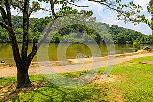 A gorgeous shot of the still waters of the Chattahoochee river with lush green trees on the banks of the river with blue sky