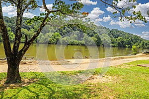 A gorgeous shot of the still waters of the Chattahoochee river with lush green trees on the banks of the river with blue sky