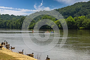 A gorgeous shot of the still waters of the Chattahoochee river with lush green trees on the banks of the river with blue sky