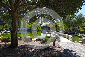 A gorgeous shot of the stone bridge with 3 circles over the green lake surrounded by lush green and autumn colored trees