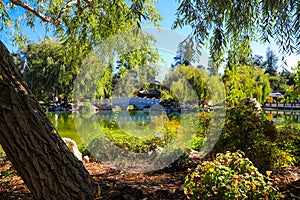 A gorgeous shot of the stone bridge with 3 circles over the green lake surrounded by lush green and autumn colored trees