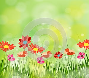 Gorgeous spring background with grass multiple bokehs