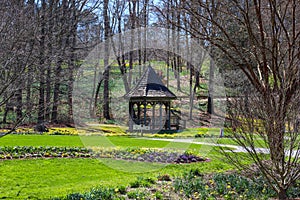 A gorgeous spring landscape in the garden with a brown wooden gazebo, a still green pond, lush green grass and bare winter trees