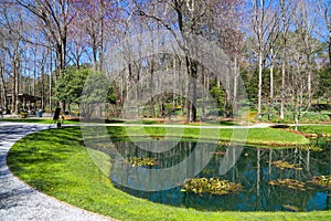 A gorgeous spring landscape in the garden with lush green grass, trees and plants and bare winter trees reflecting off the lake