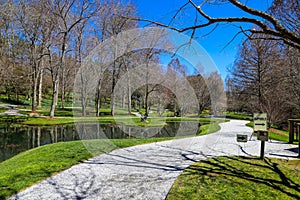 A gorgeous spring landscape in the garden with lush green grass, trees and plants and bare winter trees reflecting off the lake