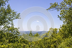 a gorgeous spring landscape with lush green trees and plants and mountains covered in lush green foliage