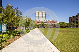 A gorgeous spring landscape at Miller Park with lush green trees and grass, people laying on the grass, office buildings