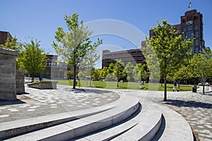 A gorgeous spring landscape at Miller Park with lush green trees and grass, with people walking and cars on the street