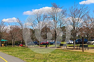 A gorgeous spring landscape in the park with lush green grass, bare winter trees, parked cars, lush green trees, black benches