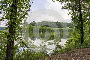 a gorgeous spring landscape at Proctor Landing Park at sunset with rippling water, lush green trees and plants, blue sky