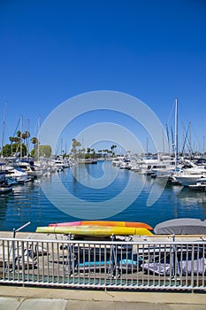 A gorgeous summer landscape in the marina with boats and yachts docked in Alamitos Bay Marina surrounded by lush green palm trees