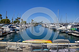 A gorgeous summer landscape in the marina with boats and yachts docked in Alamitos Bay Marina surrounded by lush green palm trees