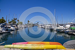 A gorgeous summer landscape in the marina with boats and yachts docked in Alamitos Bay Marina surrounded by lush green palm trees