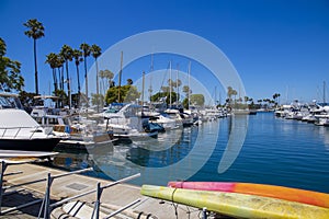 A gorgeous summer landscape in the marina with boats and yachts docked in Alamitos Bay Marina surrounded by lush green palm trees