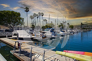 A gorgeous summer landscape in the marina with boats and yachts docked in Alamitos Bay Marina surrounded by lush green palm trees