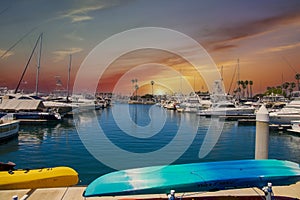 A gorgeous summer landscape in the marina with boats and yachts docked in Alamitos Bay Marina surrounded by lush green palm trees