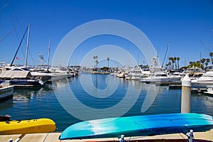 A gorgeous summer landscape in the marina with boats and yachts docked in Alamitos Bay Marina surrounded by lush green palm trees