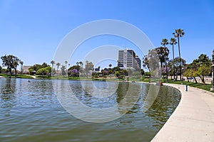 A gorgeous summer landscape in the park with a lake with a water fountain surrounded by lush green palm trees and green grass