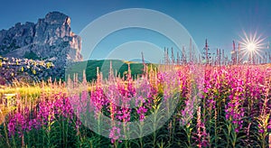 Gorgeous summer view of Ra Gusela peak, Averau - Nuvolau group.