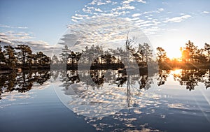 Gorgeous sunrise on a bog lake