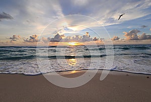 Gorgeous sunrise at Playa Delphines Cancun Zona hotelera. photo