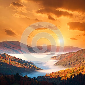 Gorgeous sunrise sky over valley in fog of autumn mountains covered by colorful forest