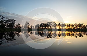 Gorgeous sunset on a bog lake