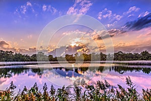 Gorgeous Sunset on a Chesapeake Bay Pond